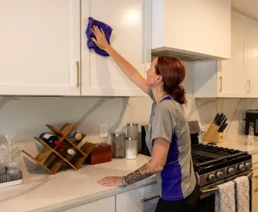 limpieza de encimeras de cocina