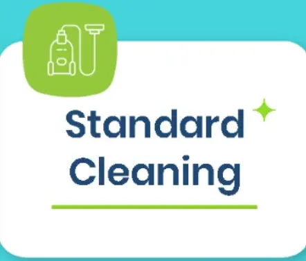 limpieza-estandar