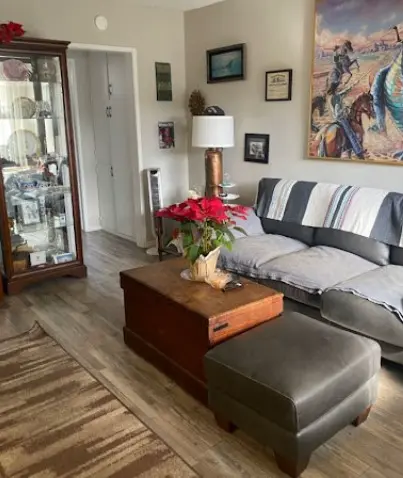 salon-comedor-limpio