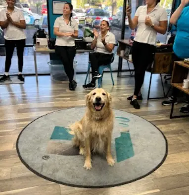 empresa de limpieza para casas