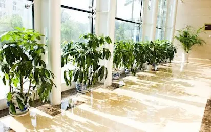 empresas de limpieza para oficinas