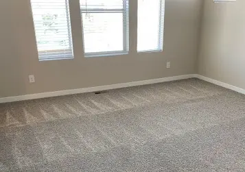 limpieza de alfombras