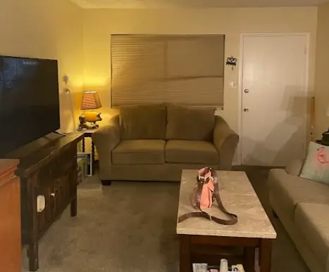 Sala de estar cálida con sofás cómodos y decoración acogedora, con todo el espacio limpio y bien arreglado.