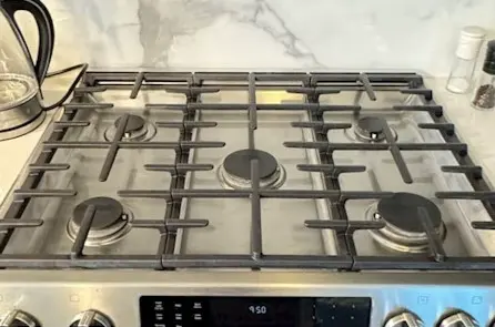 horno limpio por profesionales de limpieza de Phes